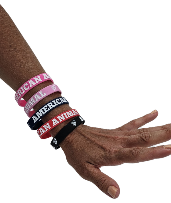 Left arm of hand model with red, black, navy, pink, and hot pink American Animal rubber bracelet bands on her arm